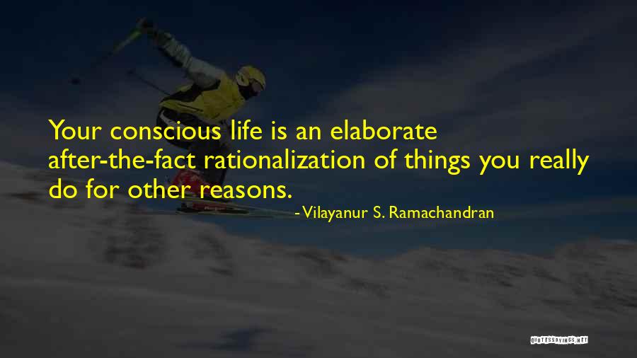 Piattelli Winery Quotes By Vilayanur S. Ramachandran Piattelli Winery Quotes By Vilayanur S. Ramachandran