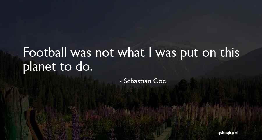 Piazzetta San Marco Quotes By Sebastian Coe Piazzetta San Marco Quotes By Sebastian Coe