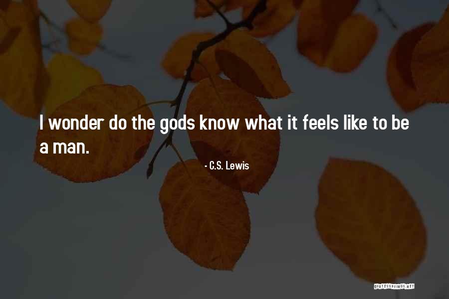 Pica Quotes By C.S. Lewis Pica Quotes By C.S. Lewis