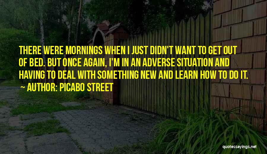 Picabo Street Quotes 1265176