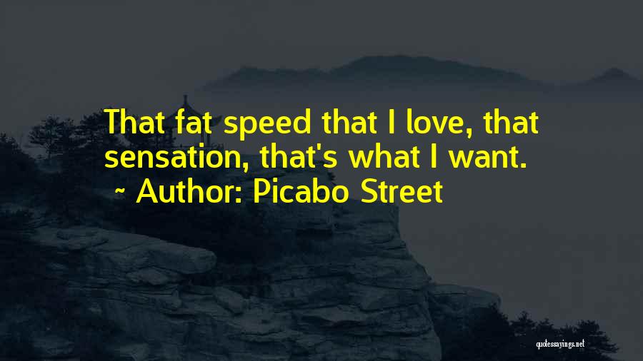 Picabo Street Quotes 1749494