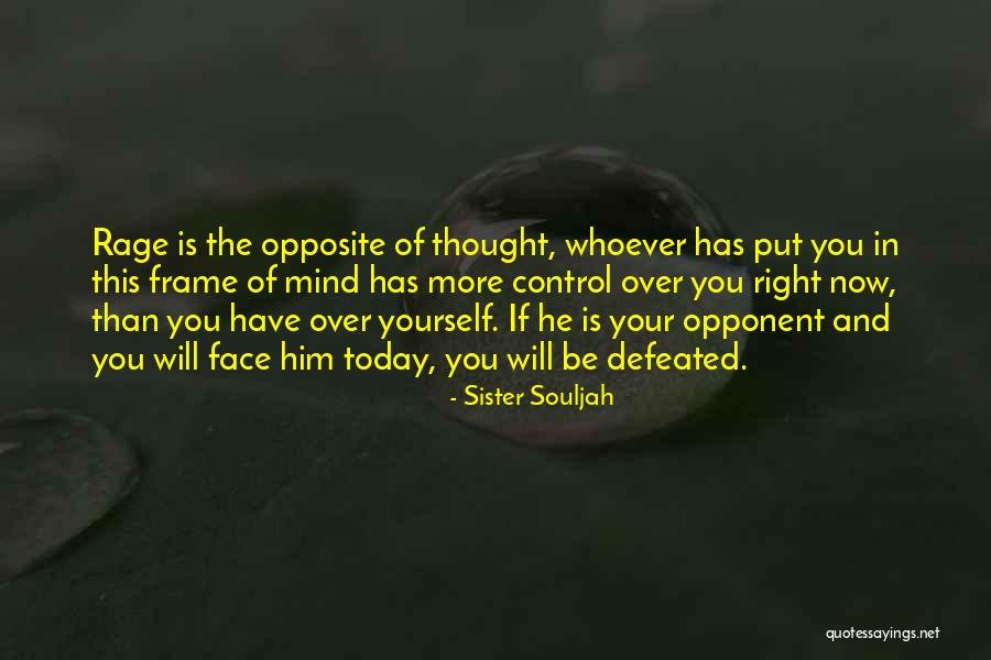 Picarella Emile Quotes By Sister Souljah Picarella Emile Quotes By Sister Souljah