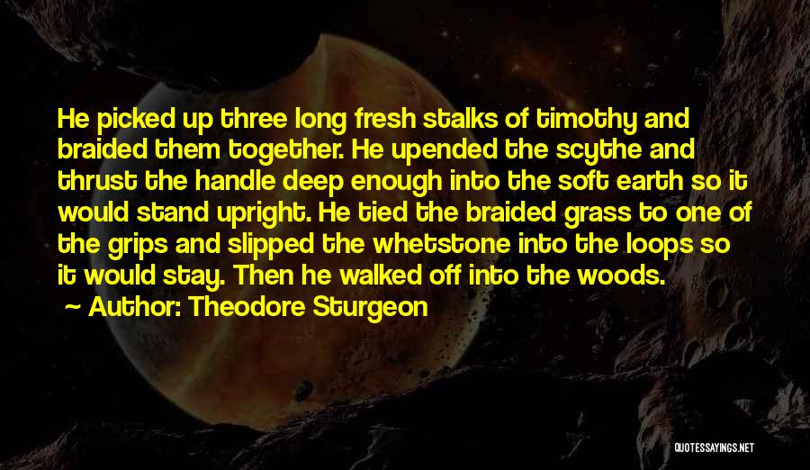 Picaresca Mexicana Quotes By Theodore Sturgeon