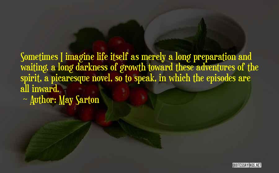 Picaresque Quotes By May Sarton