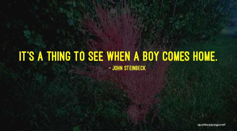 Picasa Quotes By John Steinbeck