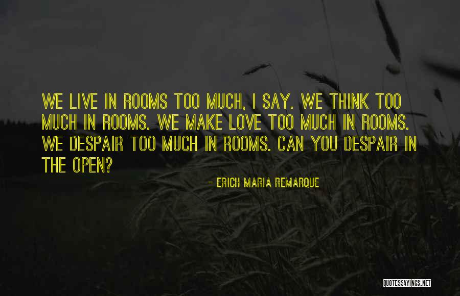 Picazzo Sonoma Quotes By Erich Maria Remarque Picazzo Sonoma Quotes By Erich Maria Remarque