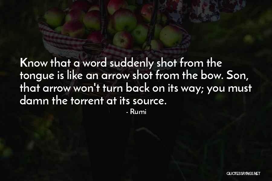 Piccarreta Luisa Quotes By Rumi Piccarreta Luisa Quotes By Rumi