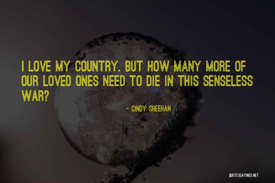 Picchiano And Scahill Quotes By Cindy Sheehan Picchiano And Scahill Quotes By Cindy Sheehan