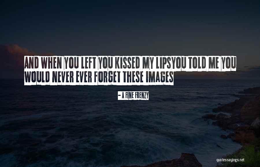Picciarelli Quotes By A Fine Frenzy Picciarelli Quotes By A Fine Frenzy