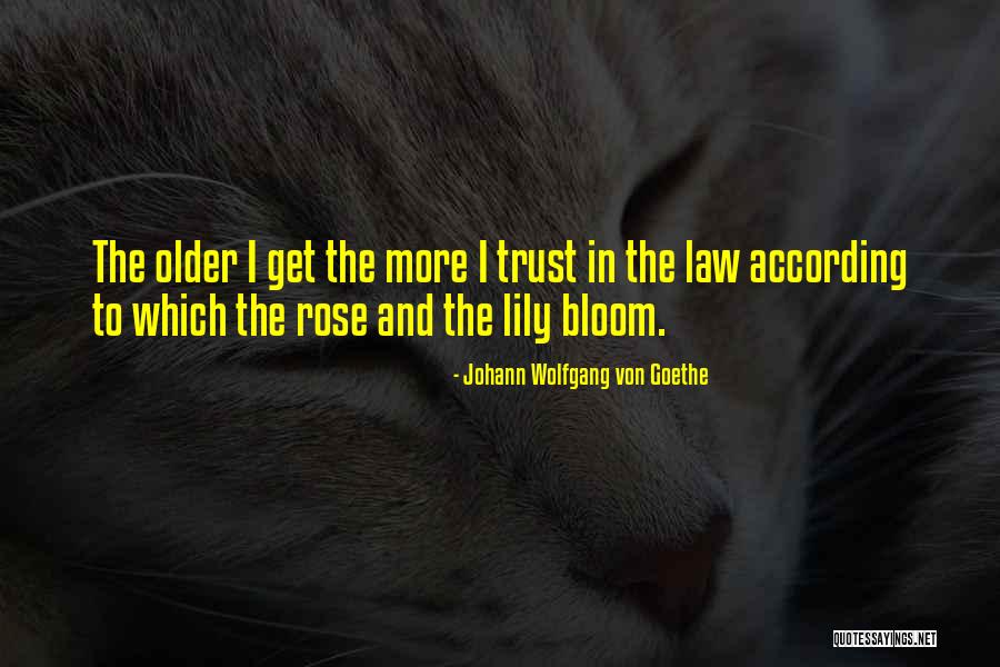 Piccillo Dentist Quotes By Johann Wolfgang Von Goethe Piccillo Dentist Quotes By Johann Wolfgang Von Goethe
