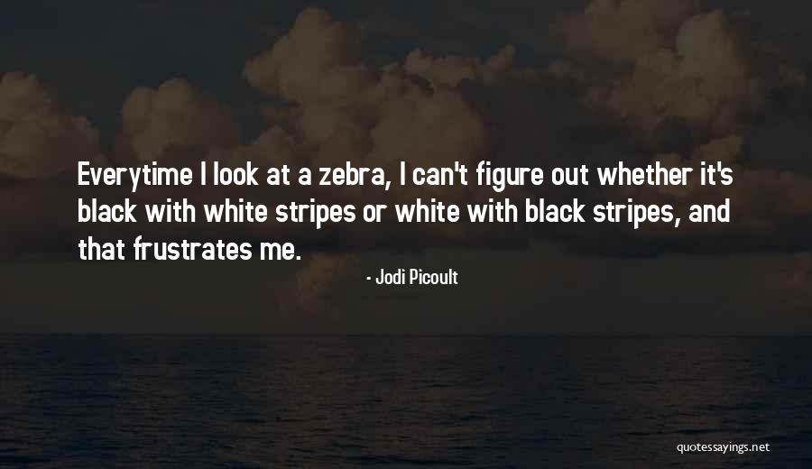 Piccininni Dentist Quotes By Jodi Picoult Piccininni Dentist Quotes By Jodi Picoult