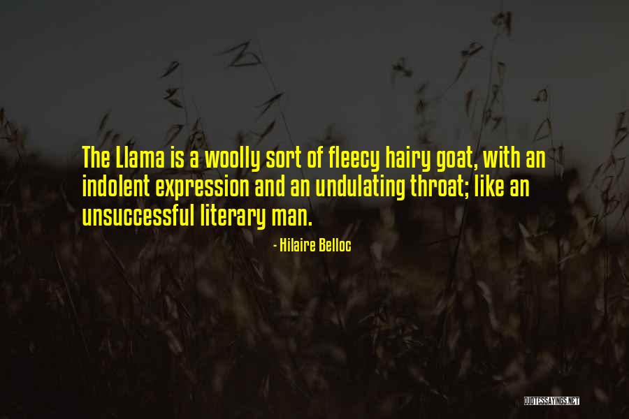 Pichu Evolution Quotes By Hilaire Belloc Pichu Evolution Quotes By Hilaire Belloc