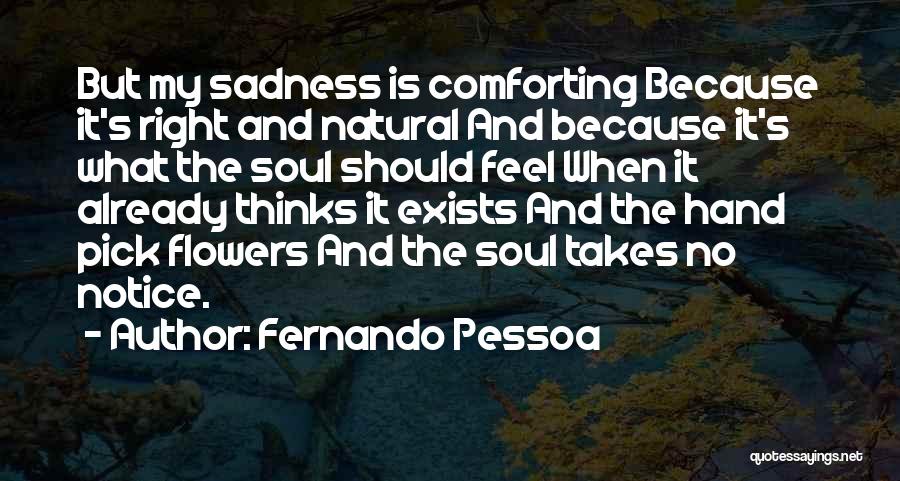 Pick A Flower Quotes By Fernando Pessoa