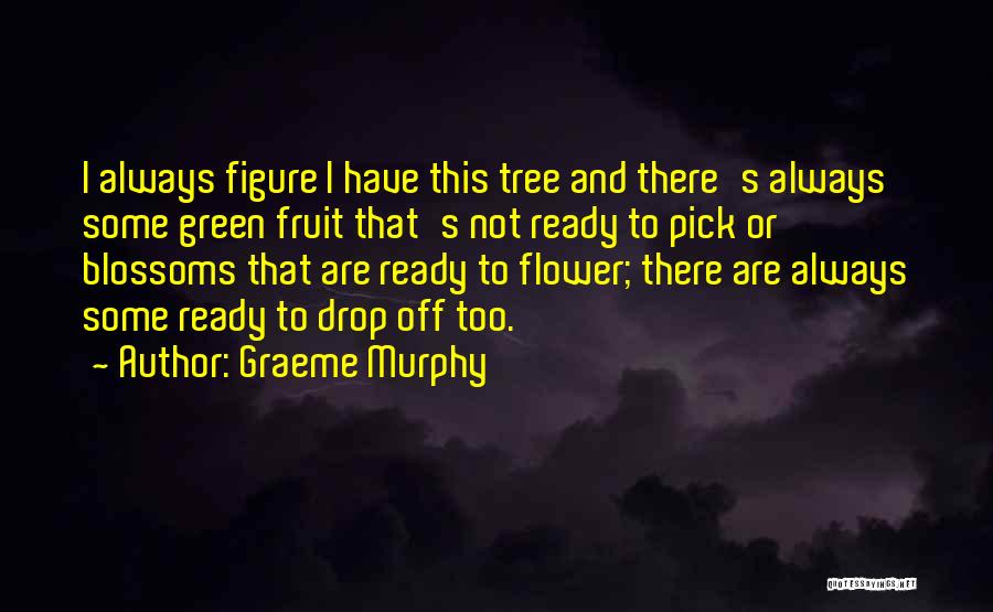 Pick A Flower Quotes By Graeme Murphy