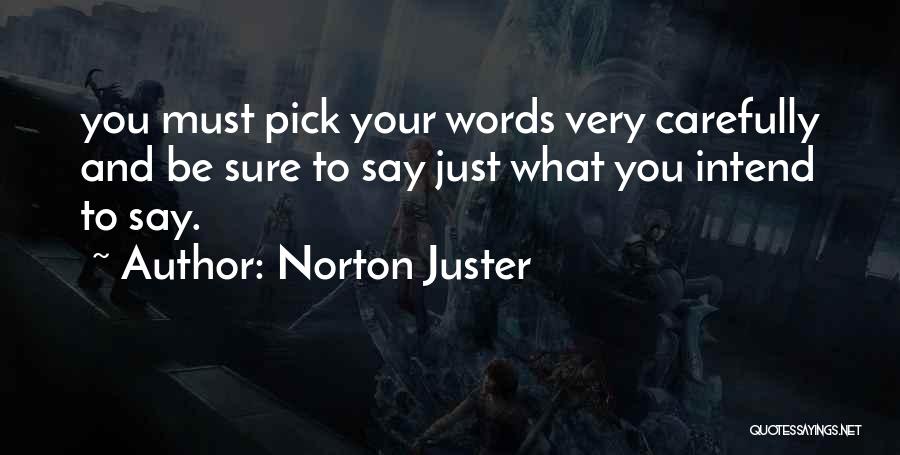 Pick Me Up Words Quotes By Norton Juster
