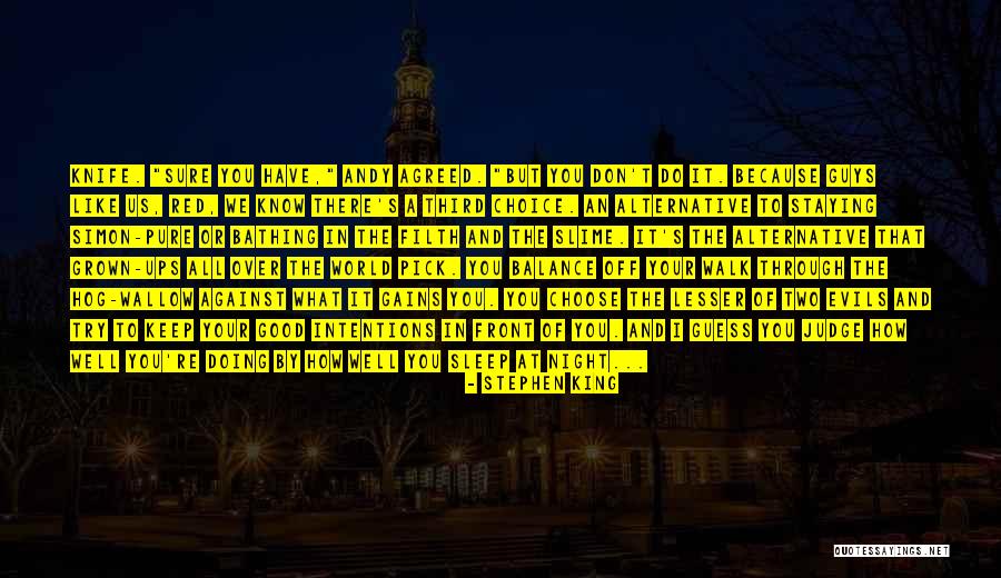 Pick Me Ups Quotes By Stephen King Pick Me Ups Quotes By Stephen King