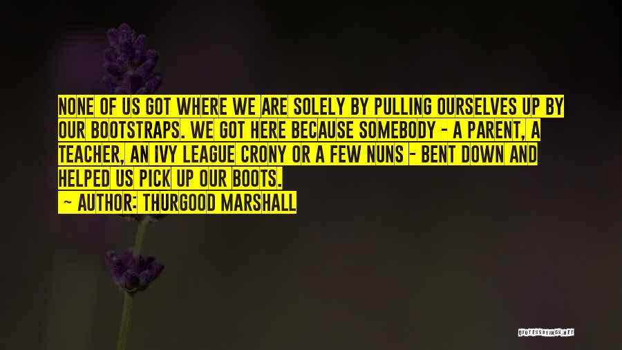 Pick Ourselves Up Quotes By Thurgood Marshall