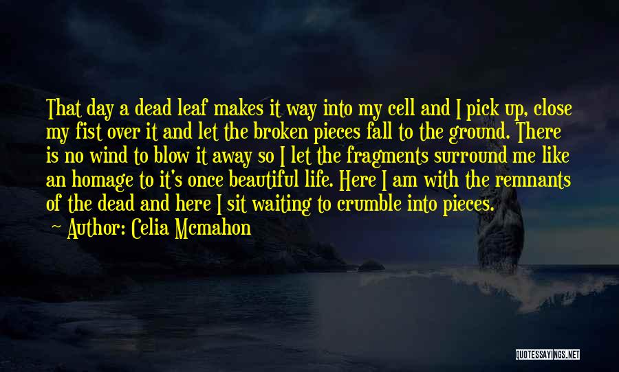 Pick Up The Broken Pieces Quotes By Celia Mcmahon