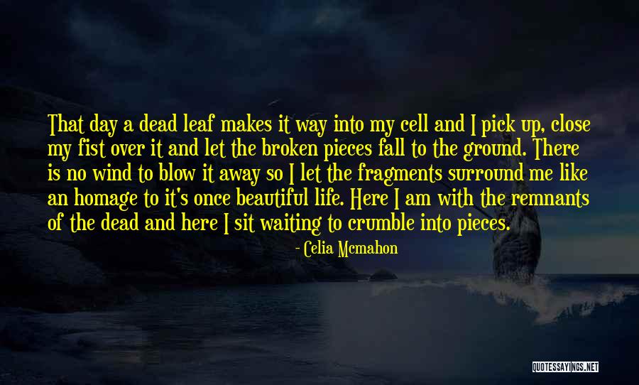 Pick Up The Broken Pieces Quotes By Celia Mcmahon Pick Up The Broken Pieces Quotes By Celia Mcmahon