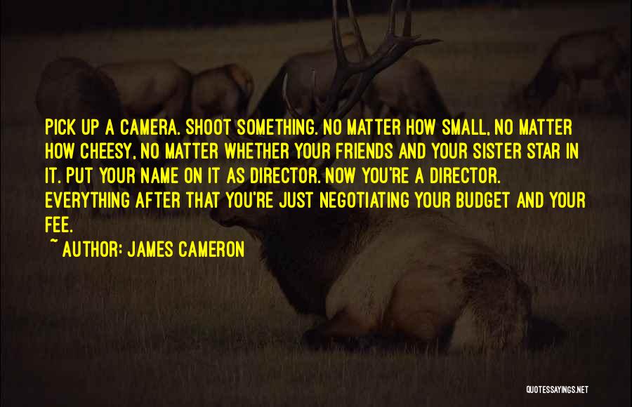 Pick You Up Quotes By James Cameron