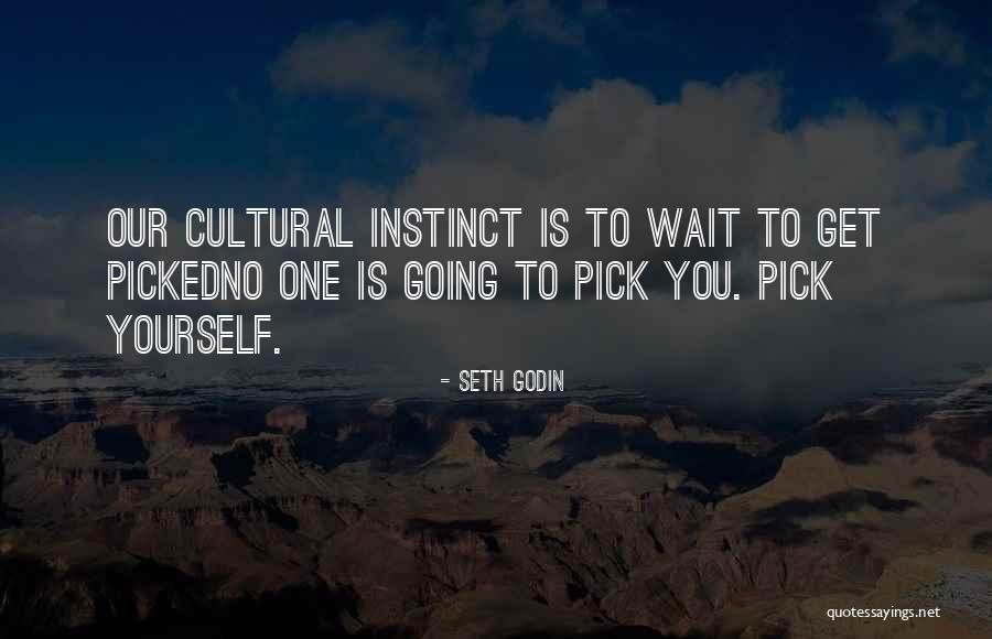 Pick Yourself Quotes By Seth Godin