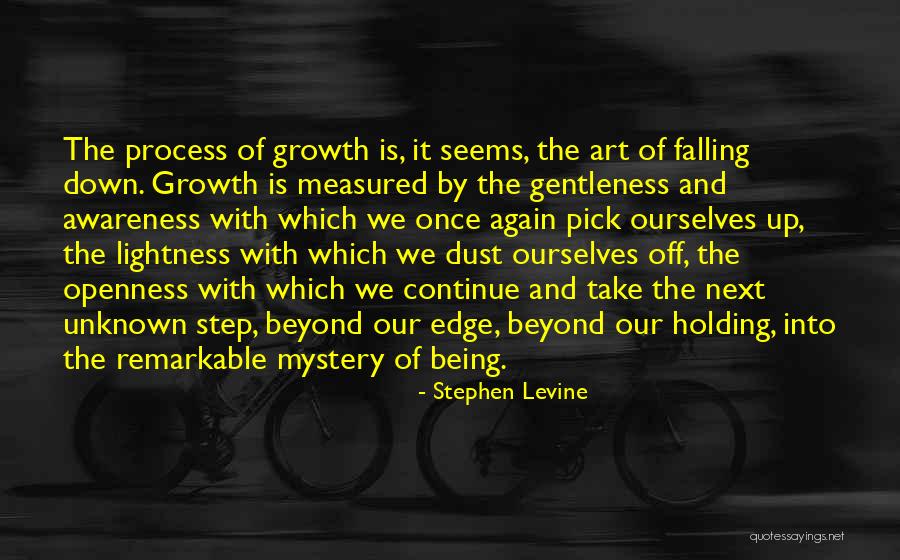 Pick Yourself Up Dust Yourself Off Quotes By Stephen Levine Pick Yourself Up Dust Yourself Off Quotes By Stephen Levine