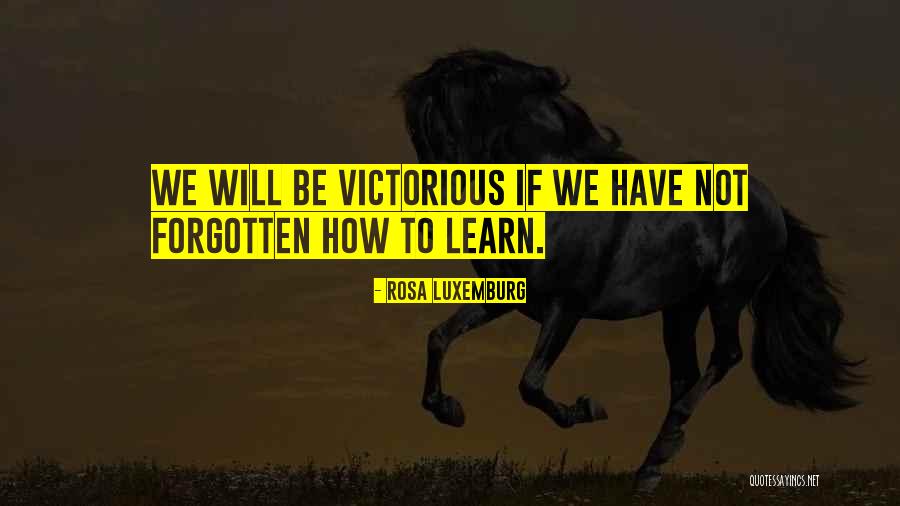 Pickaxes Minecraft Quotes By Rosa Luxemburg Pickaxes Minecraft Quotes By Rosa Luxemburg