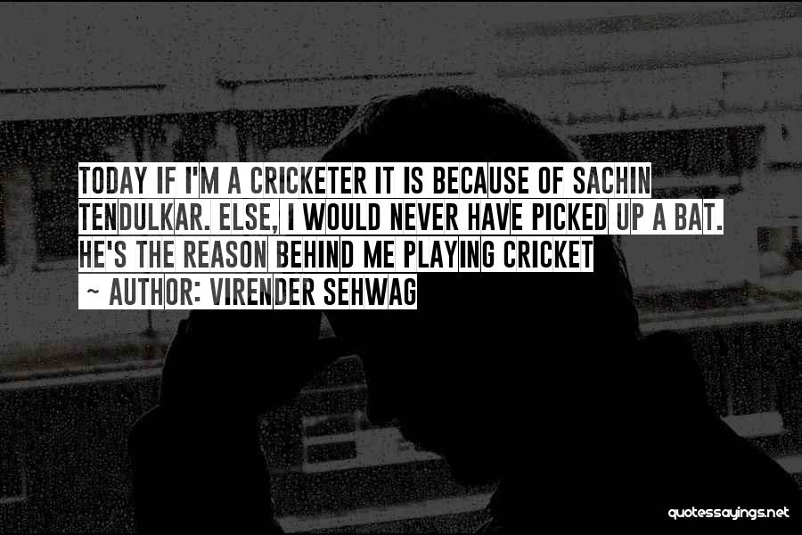 Picked Me Up Quotes By Virender Sehwag
