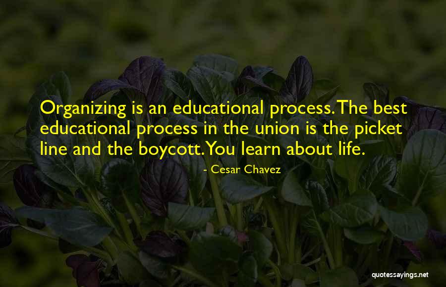 Picket Line Quotes By Cesar Chavez Picket Line Quotes By Cesar Chavez