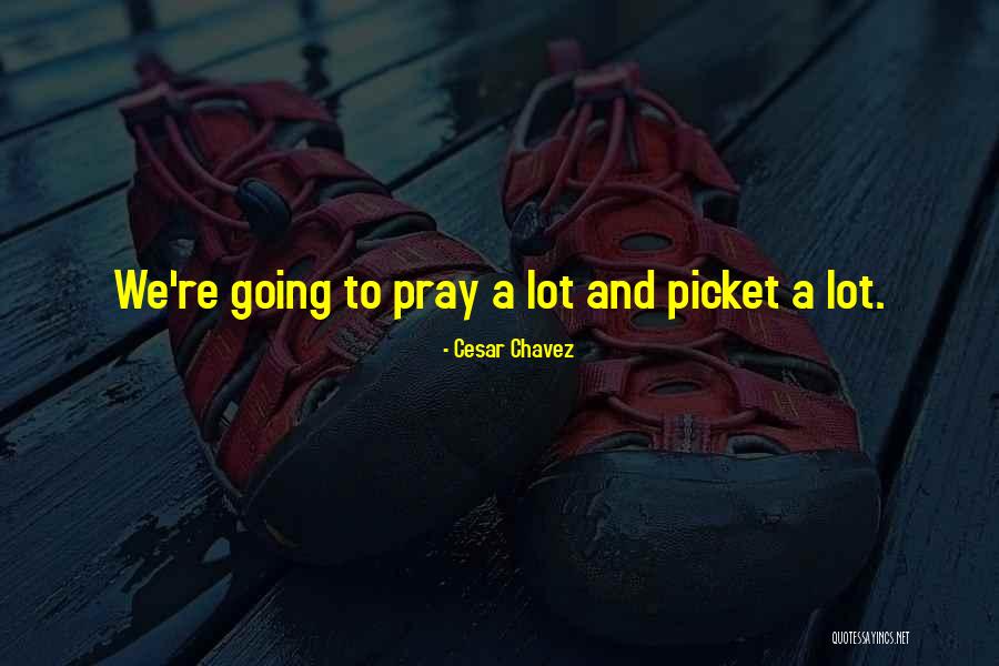 Picket Quotes By Cesar Chavez Picket Quotes By Cesar Chavez