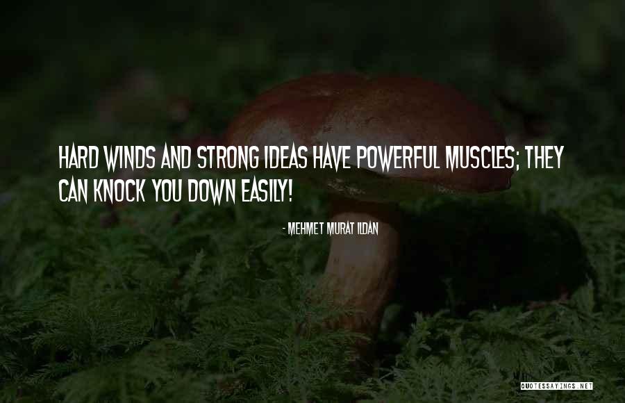 Pickets Home Quotes By Mehmet Murat Ildan Pickets Home Quotes By Mehmet Murat Ildan