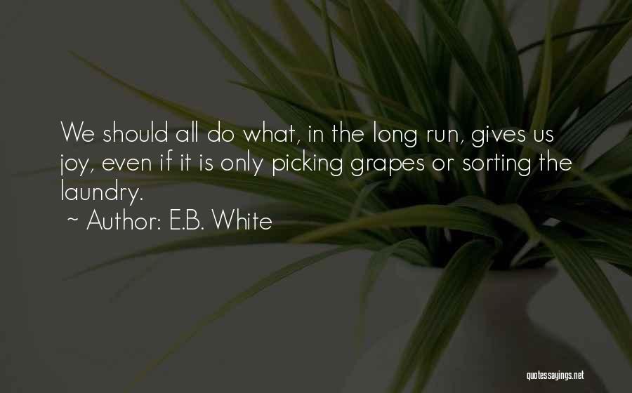 Picking Grapes Quotes By E.B. White