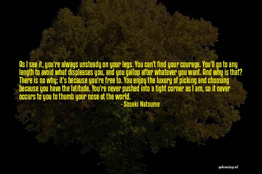 Picking Up After Yourself Quotes By Soseki Natsume