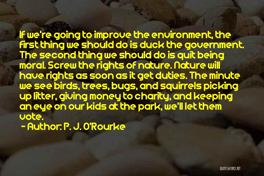 Picking Up Litter Quotes By P. J. O'Rourke