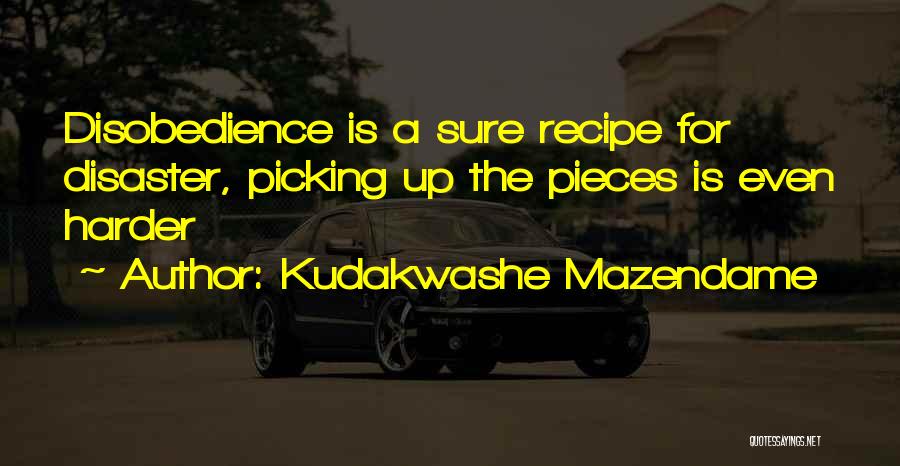 Picking Up The Pieces Quotes By Kudakwashe Mazendame