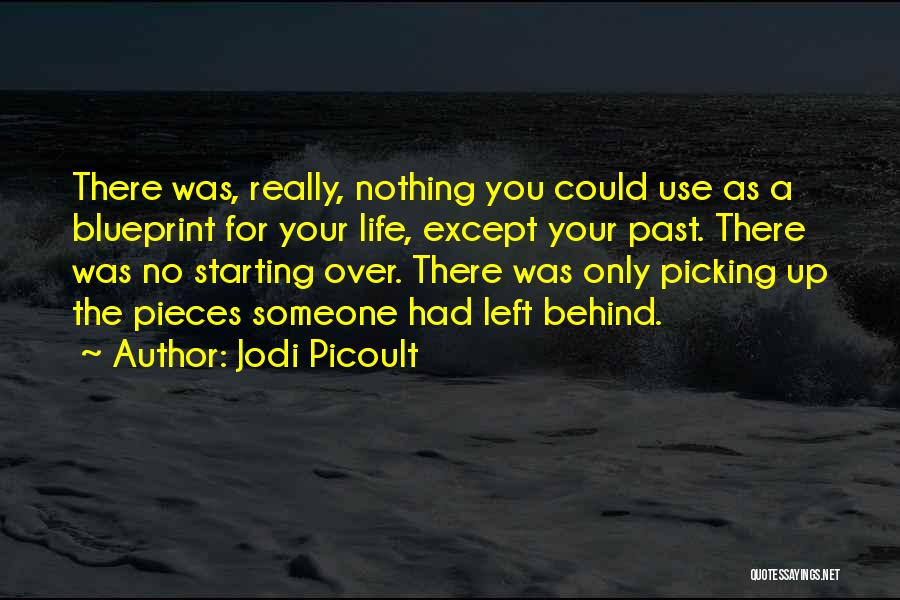 Picking Up Where We Left Off Quotes By Jodi Picoult