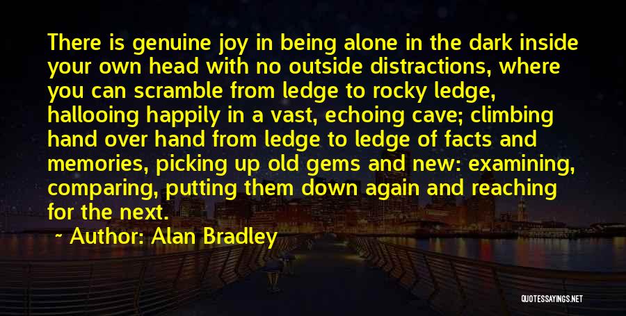 Picking Your Head Up Quotes By Alan Bradley