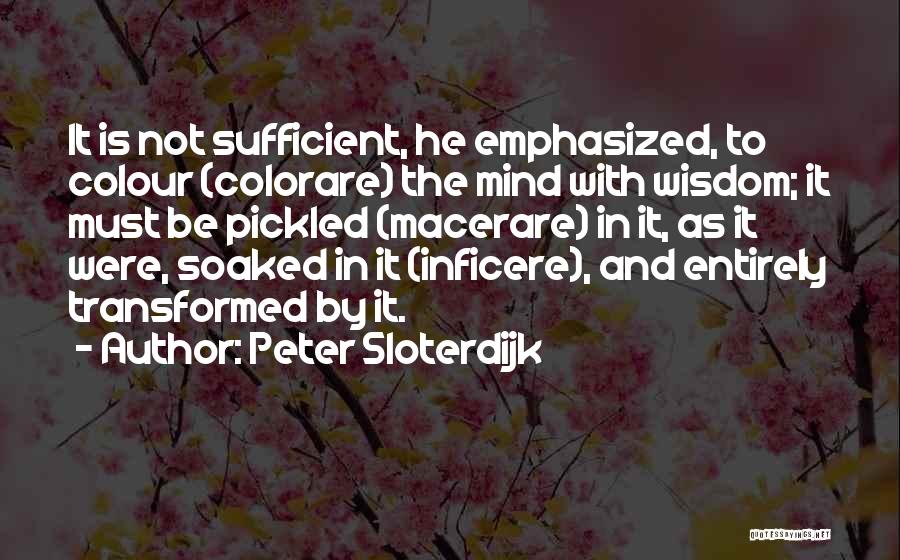 Pickled Quotes By Peter Sloterdijk