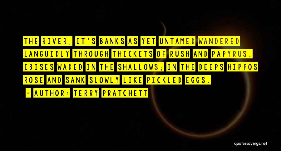 Pickled Quotes By Terry Pratchett