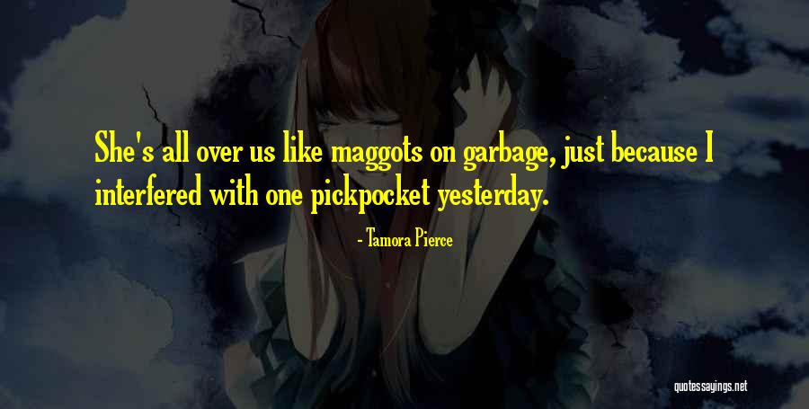Pickpocket Quotes By Tamora Pierce Pickpocket Quotes By Tamora Pierce