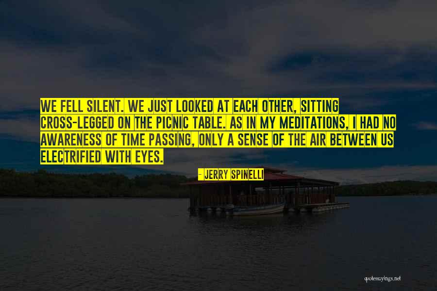 Picnic Table Quotes By Jerry Spinelli Picnic Table Quotes By Jerry Spinelli