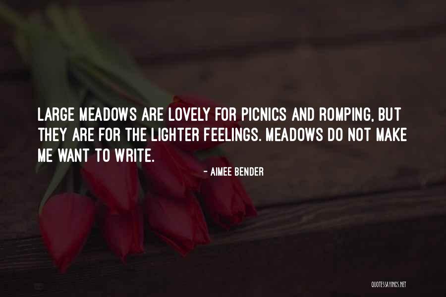 Picnics Quotes By Aimee Bender