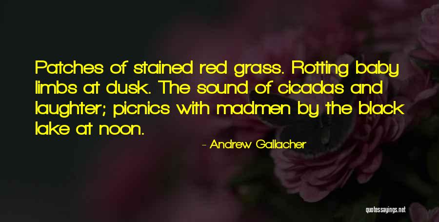 Picnics Quotes By Andrew Gallacher