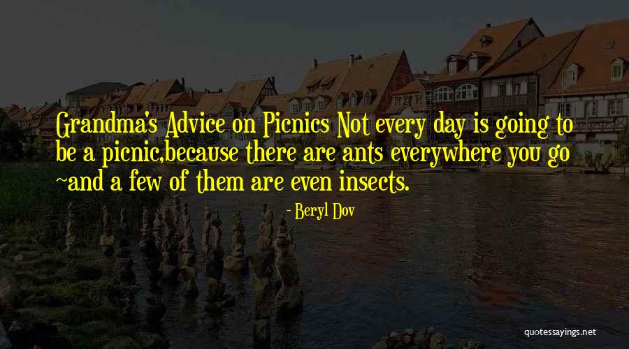 Picnics Quotes By Beryl Dov