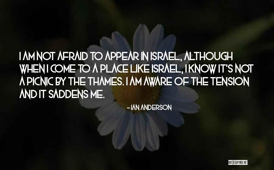 Picnics Quotes By Ian Anderson