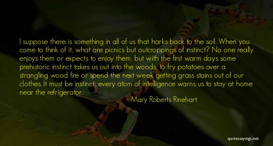 Picnics Quotes By Mary Roberts Rinehart