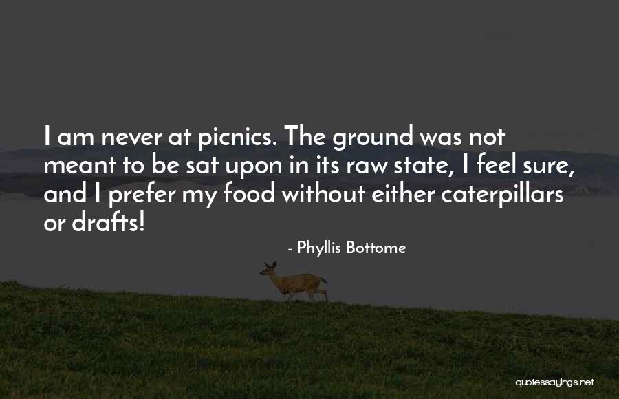 Picnics Quotes By Phyllis Bottome