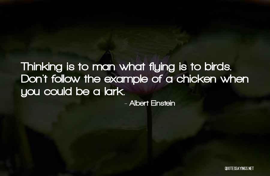 Piconets Quotes By Albert Einstein Piconets Quotes By Albert Einstein