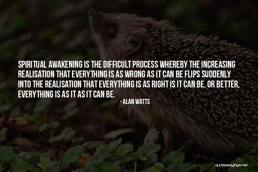 Pictat Buburuze Quotes By Alan Watts Pictat Buburuze Quotes By Alan Watts