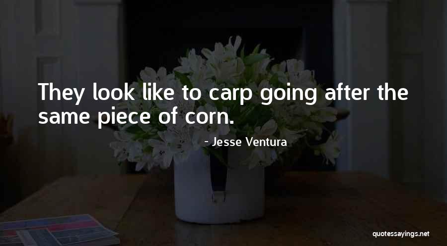 Picton Library Quotes By Jesse Ventura Picton Library Quotes By Jesse Ventura